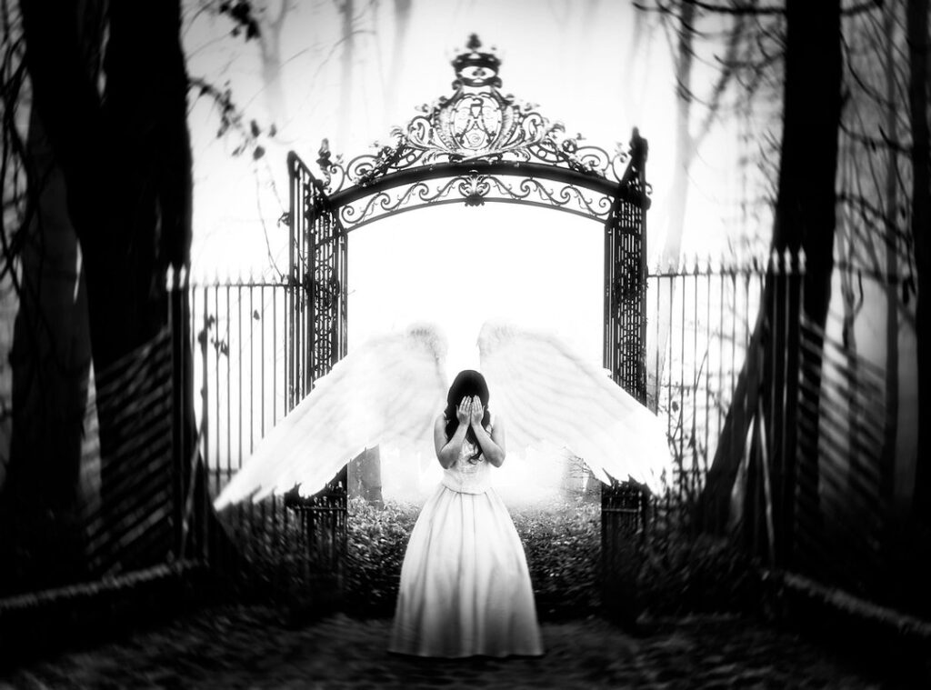 fabiola volkers leaks