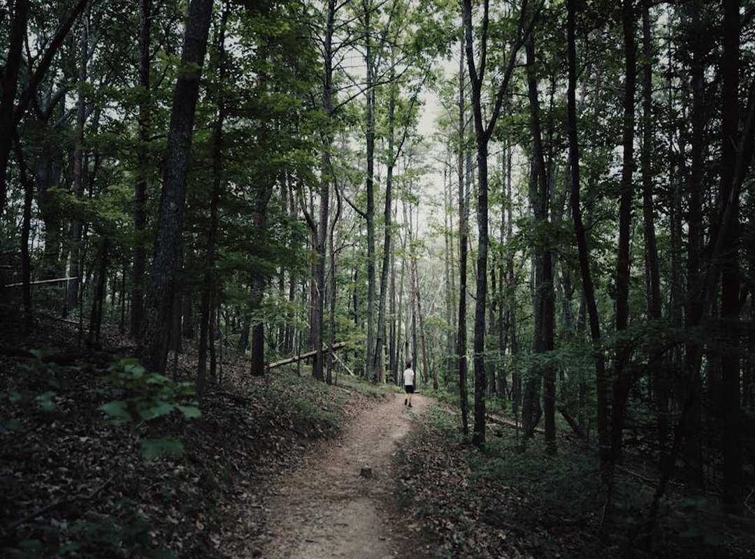 Appalachian Hiking Trails - kuvorie.com
