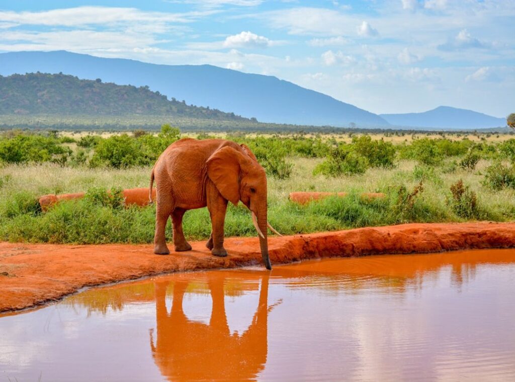 must-see destinations Africa